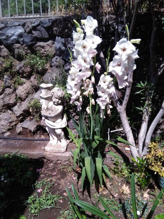 Ai Tre Archi Di Tagliaborse Villa Mascali Dış mekan fotoğraf